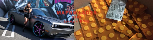 тгк Алзамай
