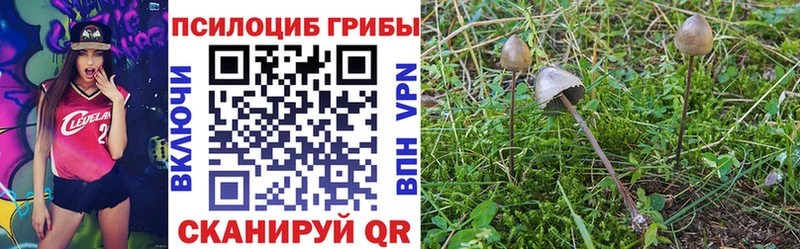 магазин продажи   Нижняя Салда  Галлюциногенные грибы мицелий 